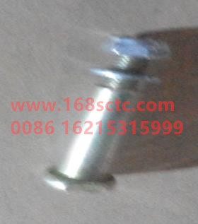 81.91020.0603-SHACMAN-pin-AoLong2007Kuan