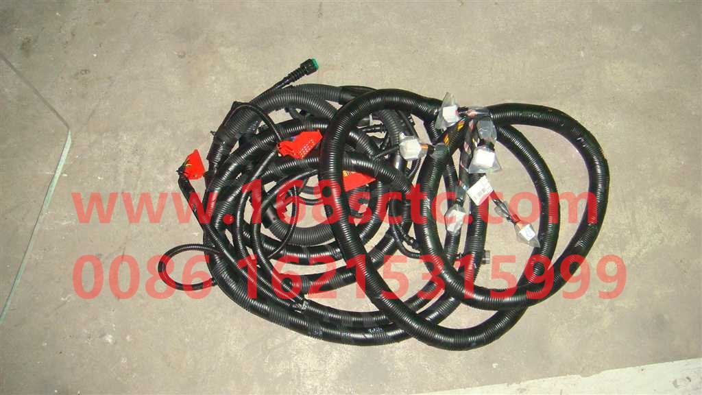VG1246090032A-SINOTRUK HOWO-Wire harness assembly-ZhongQiFaDongJiD12.38-30
