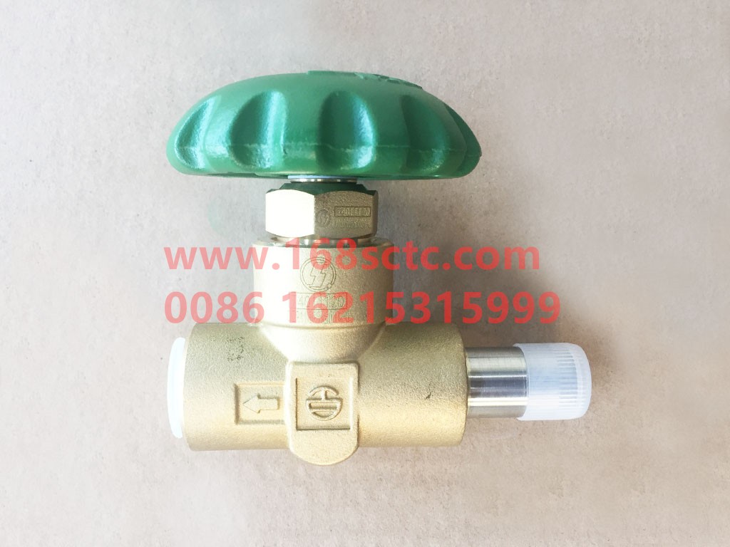 DZ91189565004-G-SHACMAN-Short stem globe valve—made in China (DS10010105)-DeLongF3000 2015Kuan