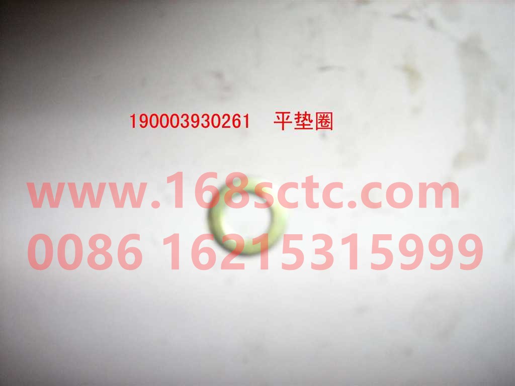 190003930271