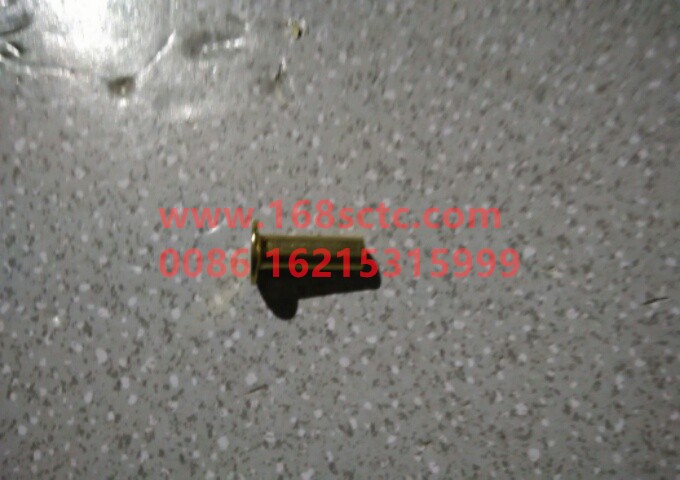 TZ56077000223-OTHERS-brake rivet hollow-KuangShanWang50