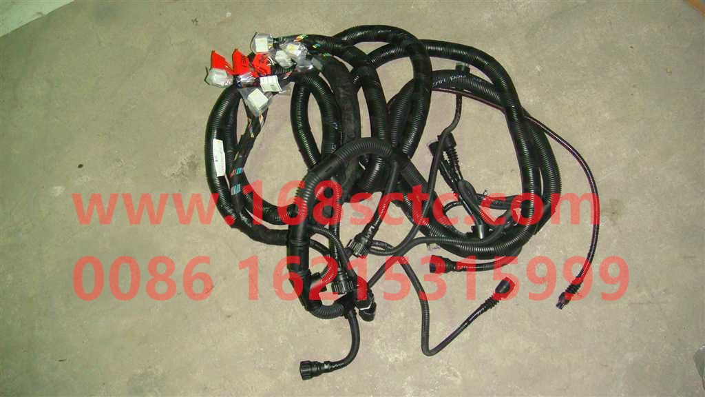 VG1246090031-SINOTRUK HOWO-Wire harness assembly-ZhongQiFaDongJiD12.38-30