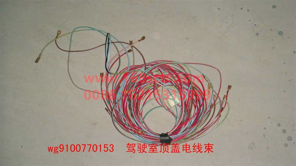 WG9100770153