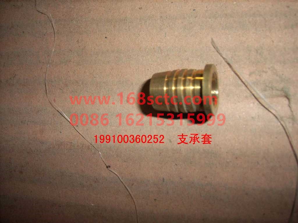 WG99100360252
