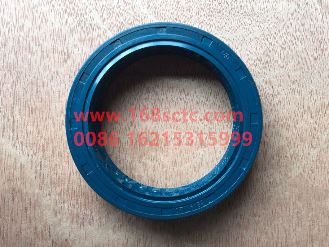 DZ95129320087-OTHERS-Oil seal set-HanDeMANQiao