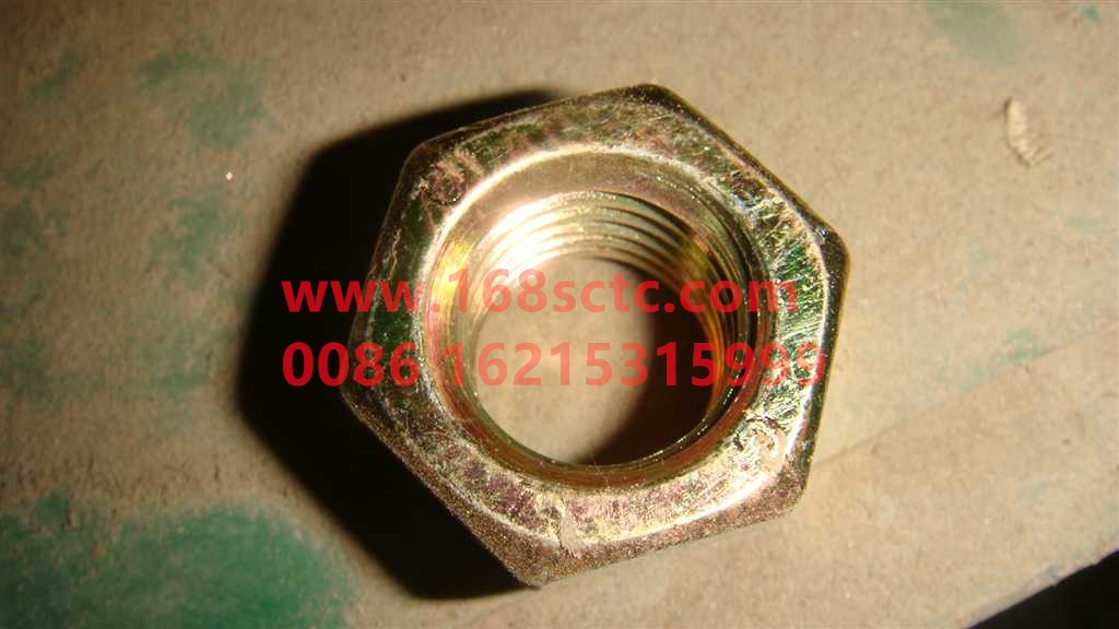 Q33218T13F2-1