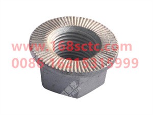 ZQ32516T13F6-OTHERS-Hexagon flange face bearing toothed nut M16x1.5-LiuJiaoTouLuoMu