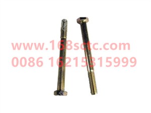 ZQ150B10110-OTHERS-Outer hex bolt M10x110-LiuJiaoTouLuoShuan