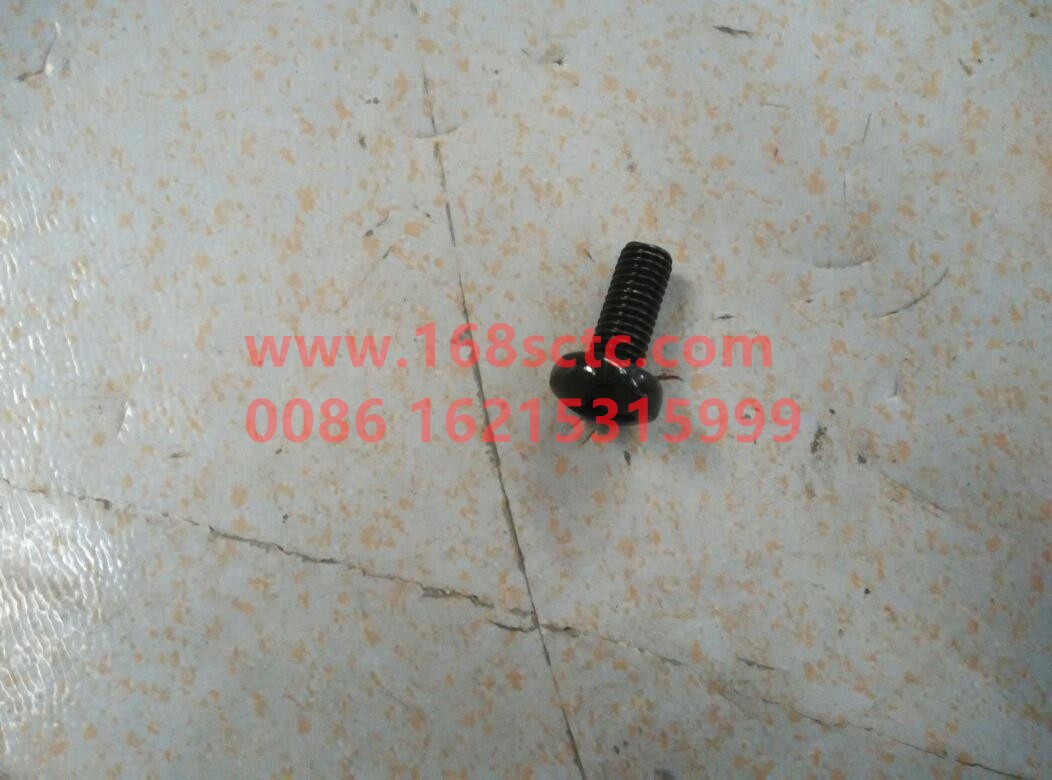 Q2140820-OTHERS-Cross recessed pan head screw M8x20-ZiGongLuoShuan