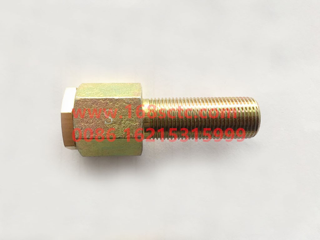 DZ92189366079-SHACMAN-straight head-AoLong2014Kuan