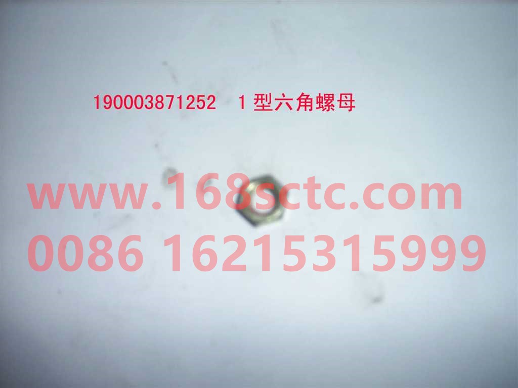 190003871305
