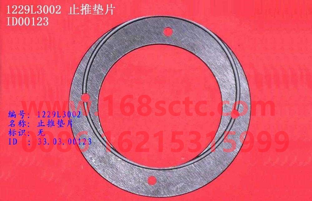 WG1229L3002