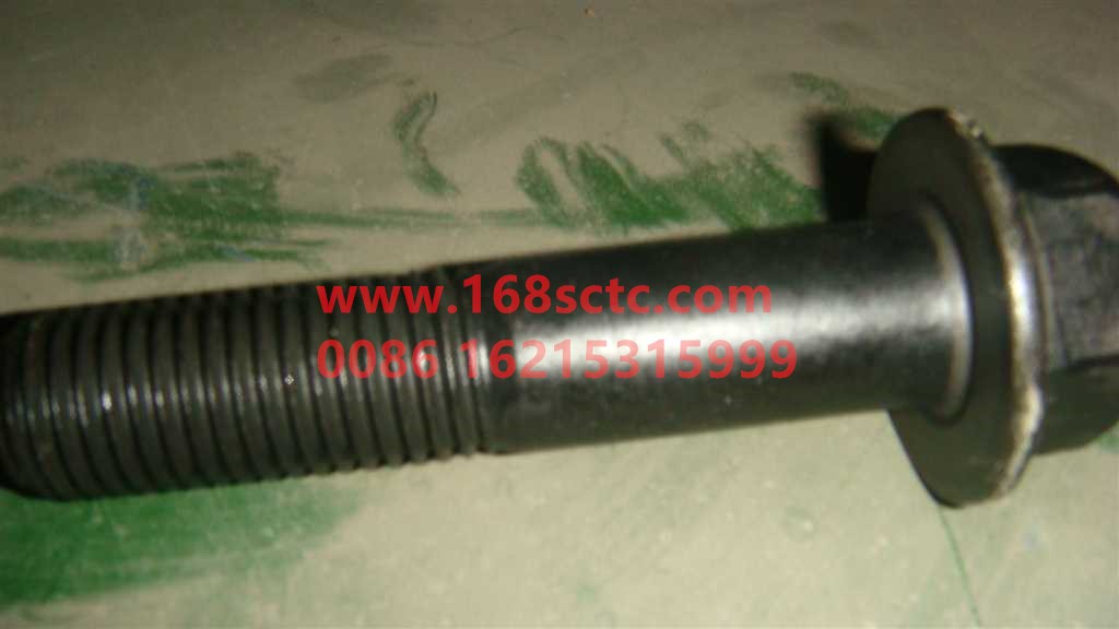 WG9725525120-OTHERS-Hex Flange Bolt M20x2.5x95 (Hendrickson Suspension)-LiuJiaoTouLuoShuan