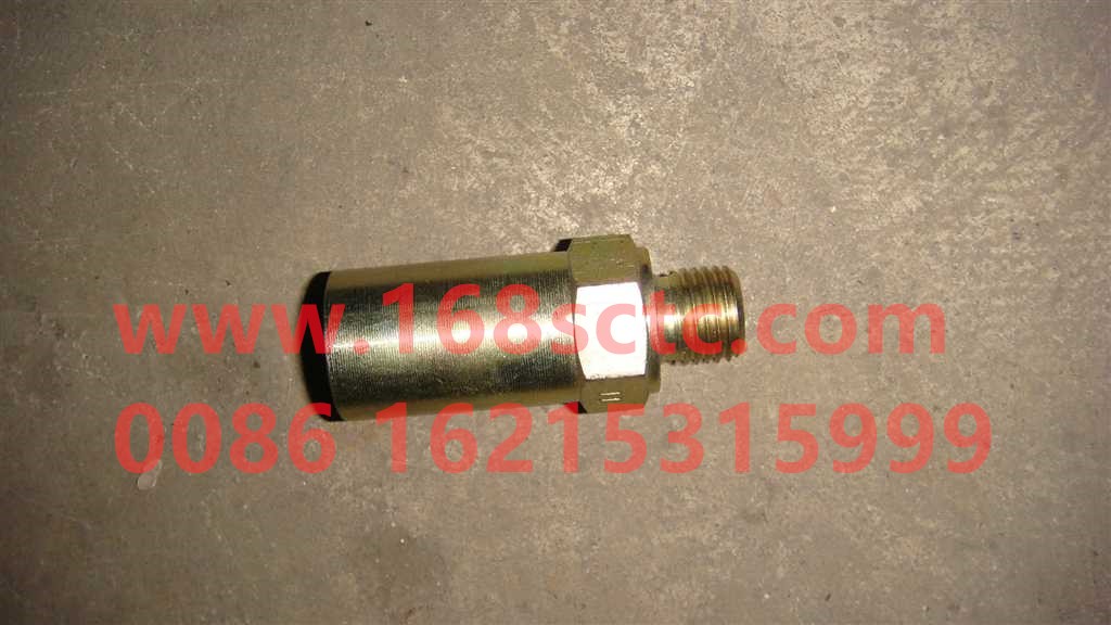 VG1242088005-SINOTRUK HOWO-Oil spill valve assemblyinternal threadM16-ZhongQiFaDongJiD12.38-30