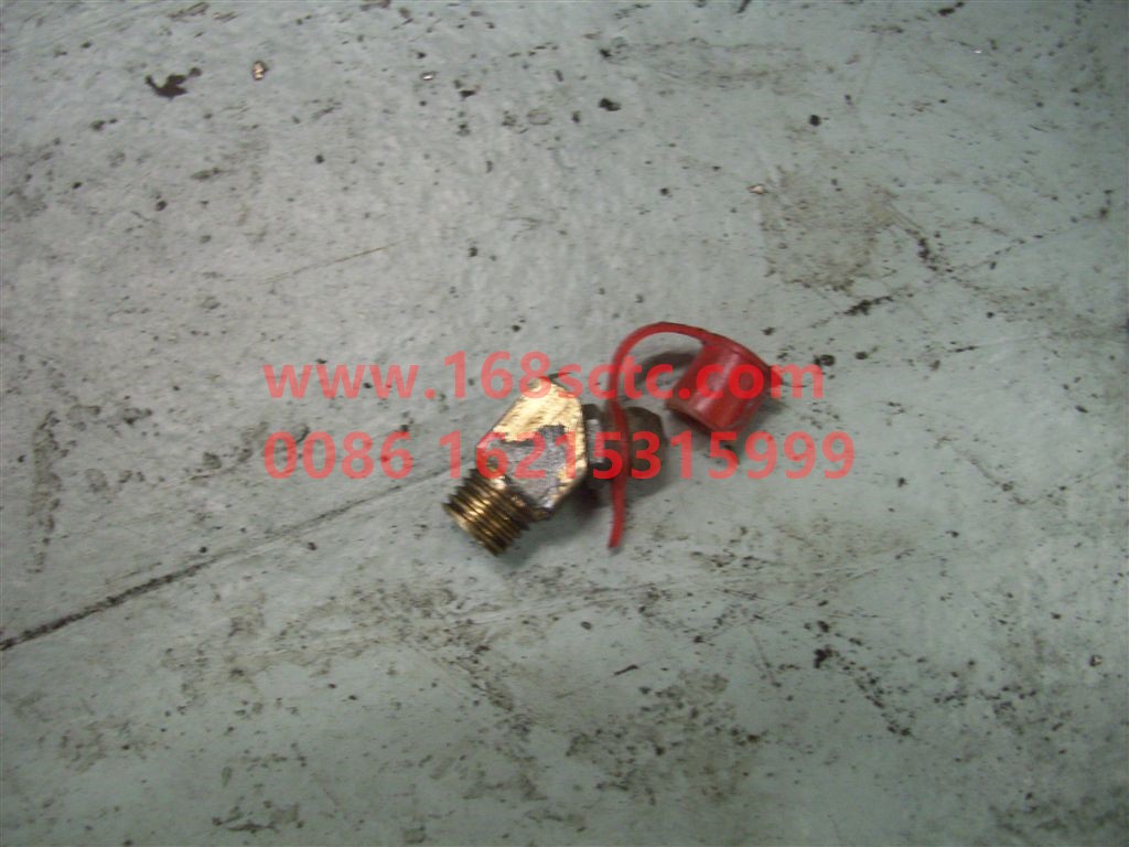 AZ9003963030-SINOTRUK HOWO-Grease nipple assembly AM8x1 D71412-ZhongQiQianQiaoVGD060QB