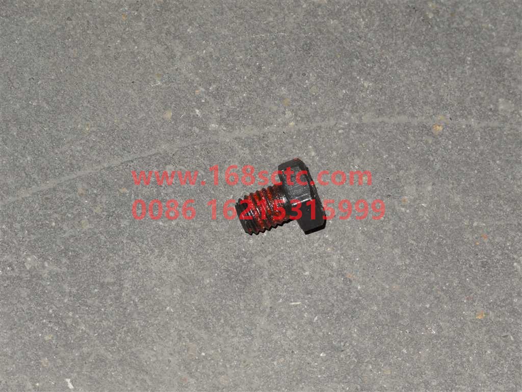 MQ150B0810-OTHERS-Outer hex bolt M8x10 grade 8.8-LiuJiaoTouLuoShuan