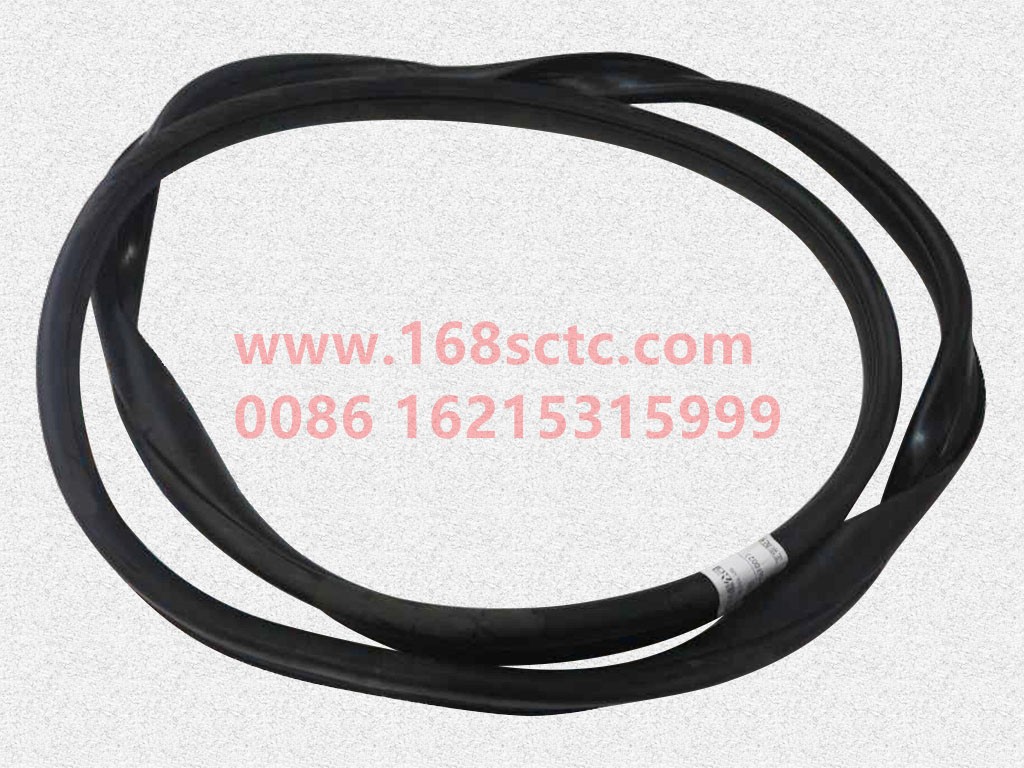 DZ15221710042-SHACMAN-Sealing strip (rear window glass sealing strip HP2240561002) MOQ 100-DeLongXinM3000 2013Kuan