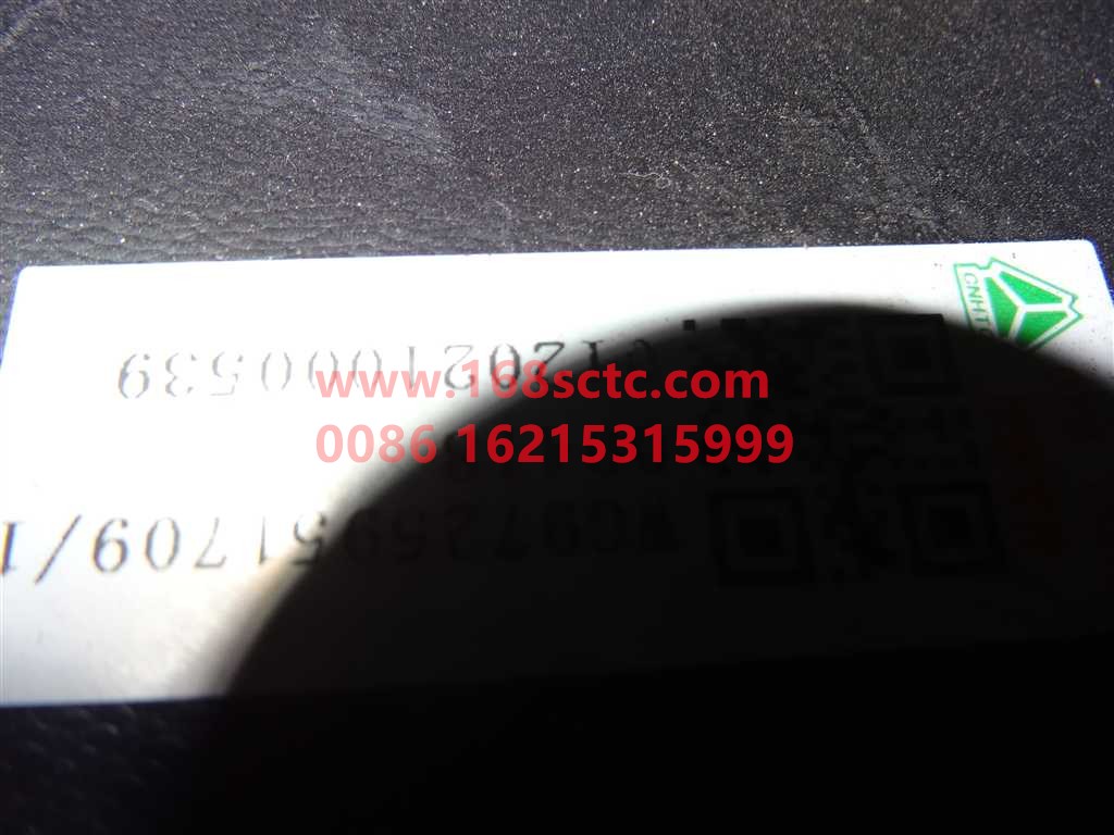 WG9725951709-SINOTRUK HOWO-Wheel covers-HaoWoT5GKuan