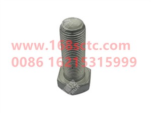 ZQ151B1645TF6-OTHERS-Outer hex bolt M16x1.5x45-LiuJiaoTouLuoShuan