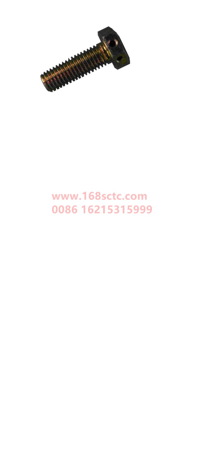 Q170B0825-OTHERS-Hex head bolt with hole M8x25-LiuJiaoTouLuoShuan