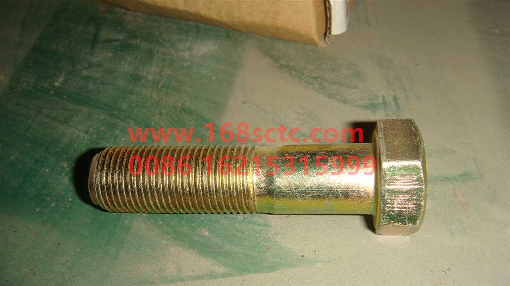 Q151B1665TF2-OTHERS-bolt-LiuJiaoTouLuoShuan