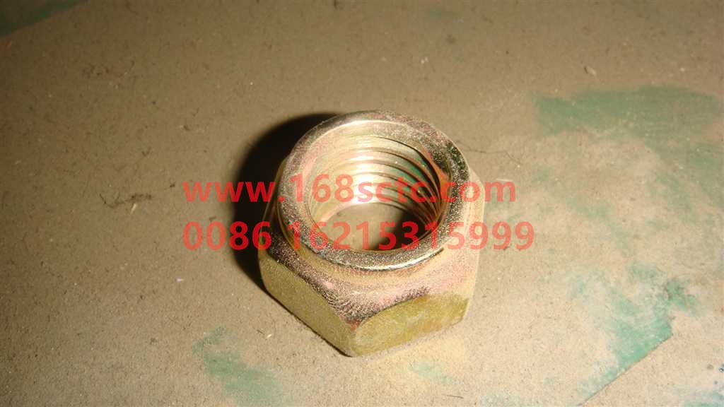 Q33218T13F2-OTHERS-Hex self-locking nut type 2 all metal-LiuJiaoTouLuoMu