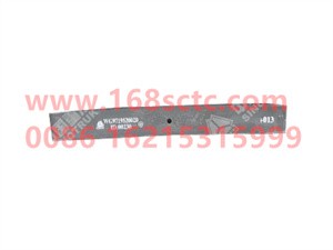 wg9719520020013