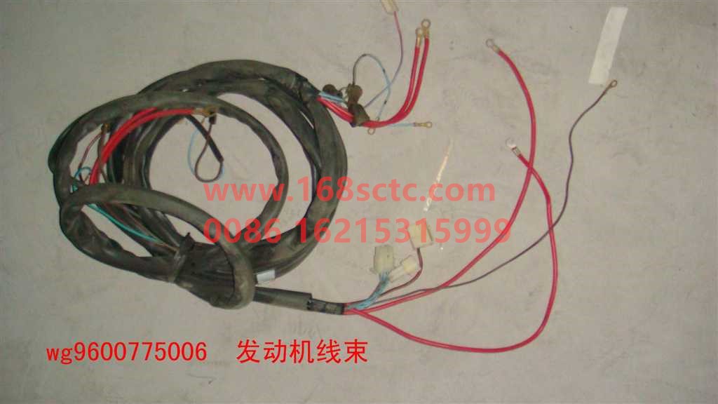 WG9600775006