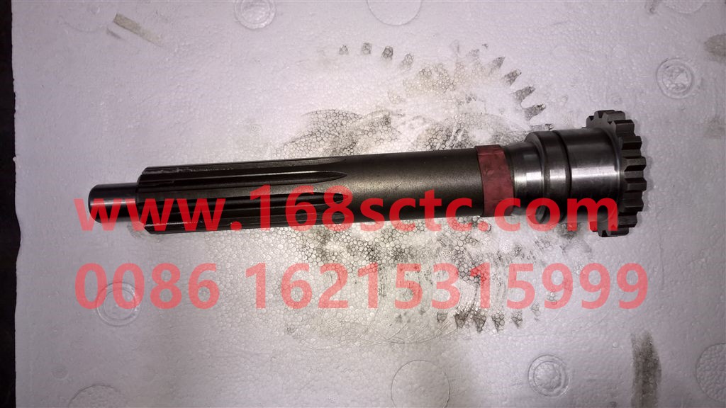 WG2210020406-SINOTRUK HOWO-one axis-ZhongQiBianSuXiangHW18709