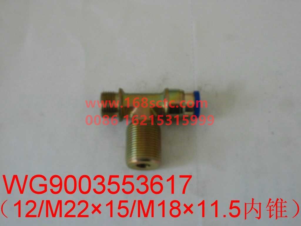 WG9003553617