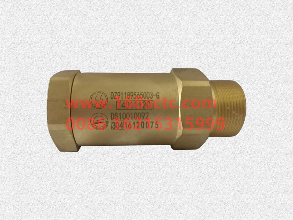 DZ91189565003-G-SHACMAN-Liquid inlet check valve—made in China (DS10010092)-AoLong2007Kuan