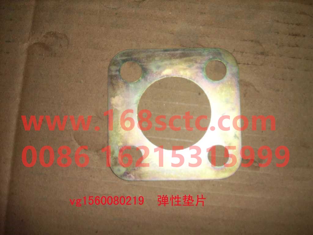 VG1560080219-SINOTRUK HOWO-Elastic link assembly 68class-ZhongQiFaDongJiWD615.67