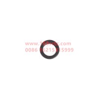 JAC1100193FA040W0498