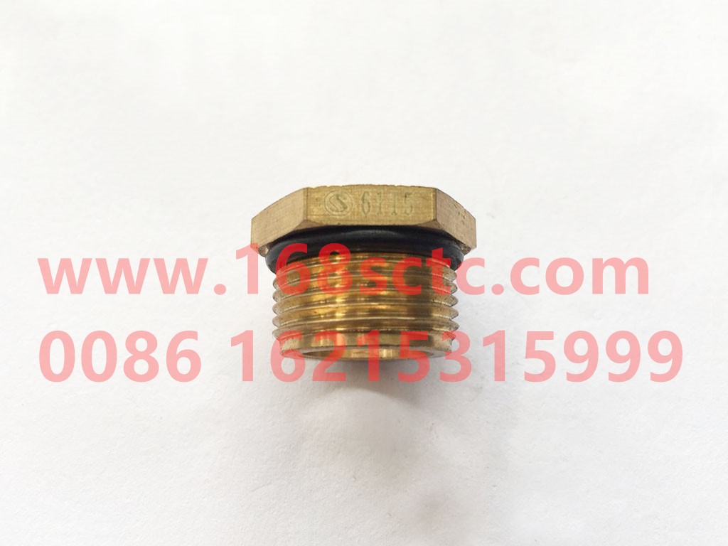 81.98181.6115-SHACMAN-Hex socket-DeLongF3000 2014Kuan