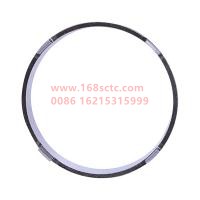 SJC538T1-1702176A0516