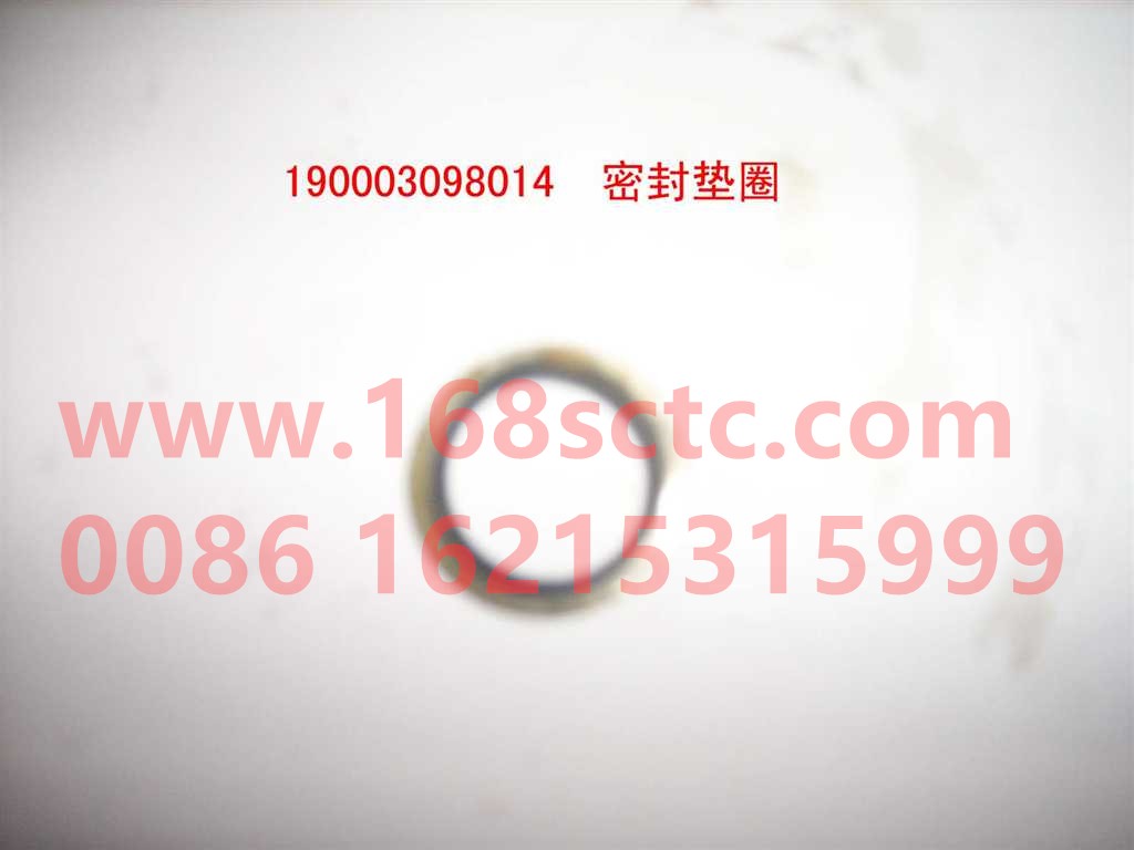 190003098015