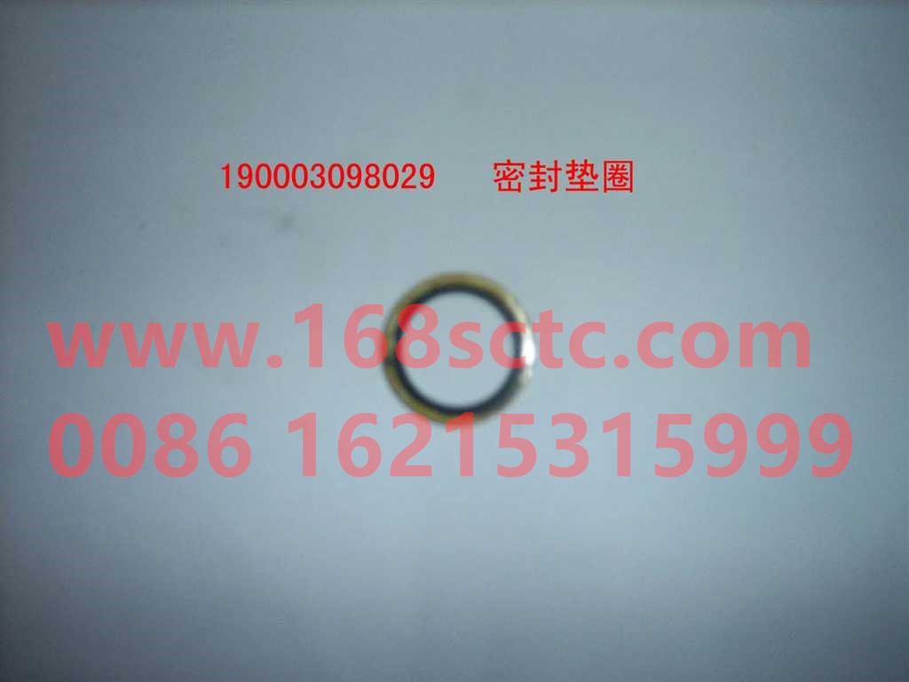 Sealing gasket