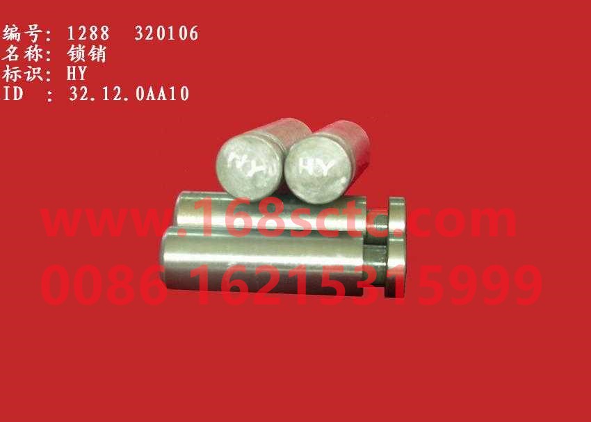 WG288  320106