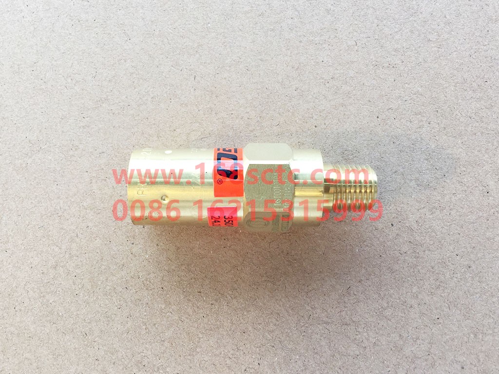 DZ91189565010-OTHERS-Secondary safety valve-XinAoLong2014Kuan