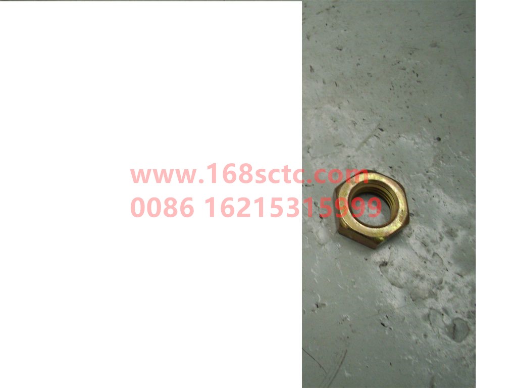 Q351B14T15-SINOTRUK HOWO-Hex Thin Nut-ZhongQiQianQiaoHR9