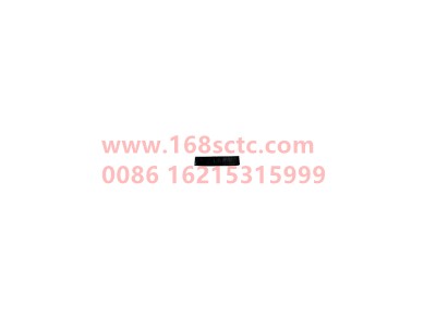 wg9725520072004