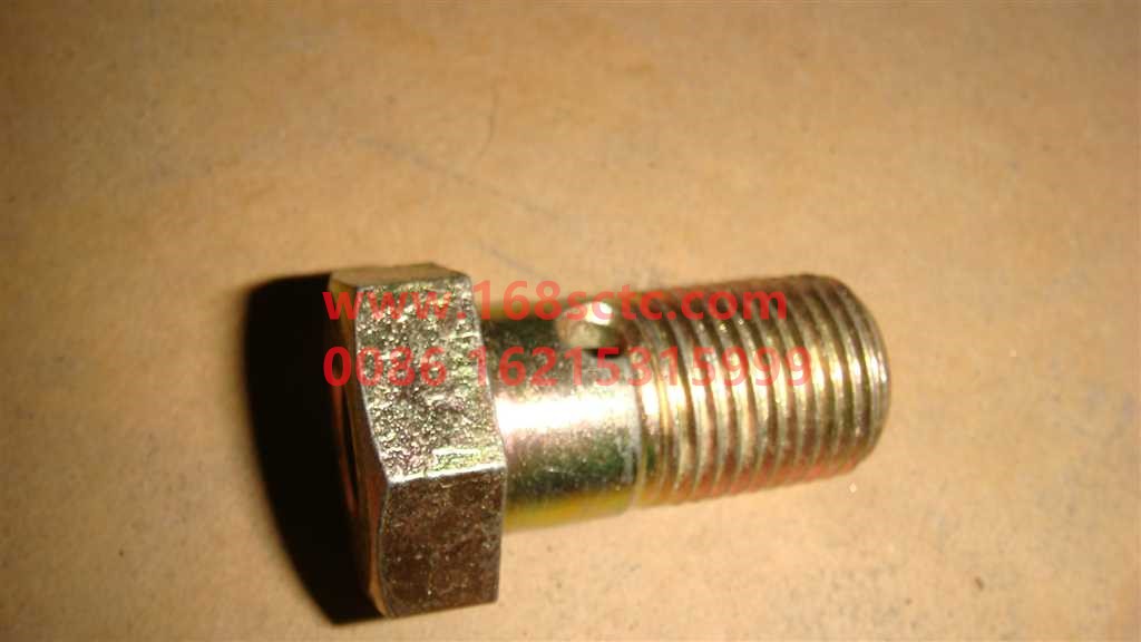 WG9925410105+032-OTHERS-Bolts (king pin plugging bolts)-KeManQianQiao