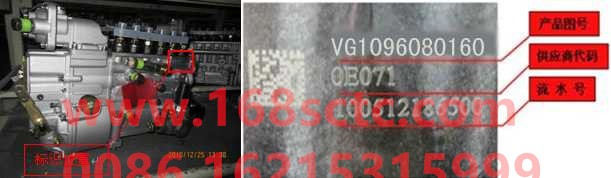 VG1096080160-SINOTRUK HOWO-High pressure pumpno warranty-ZhongQiFaDongJiWD615.97C