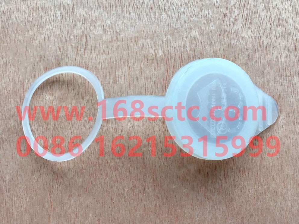 81.26481.0026-SHACMAN-Radiator cap-DeLongF2000 2014Kuan