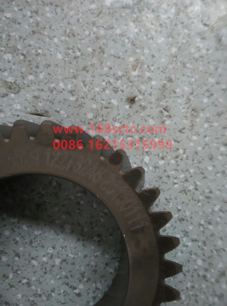 12273248