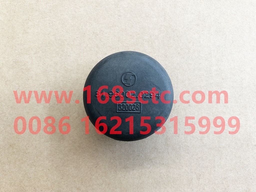 81.96002.0294-SHACMAN-Plug PTP0-DeLongF3000 2013Kuan