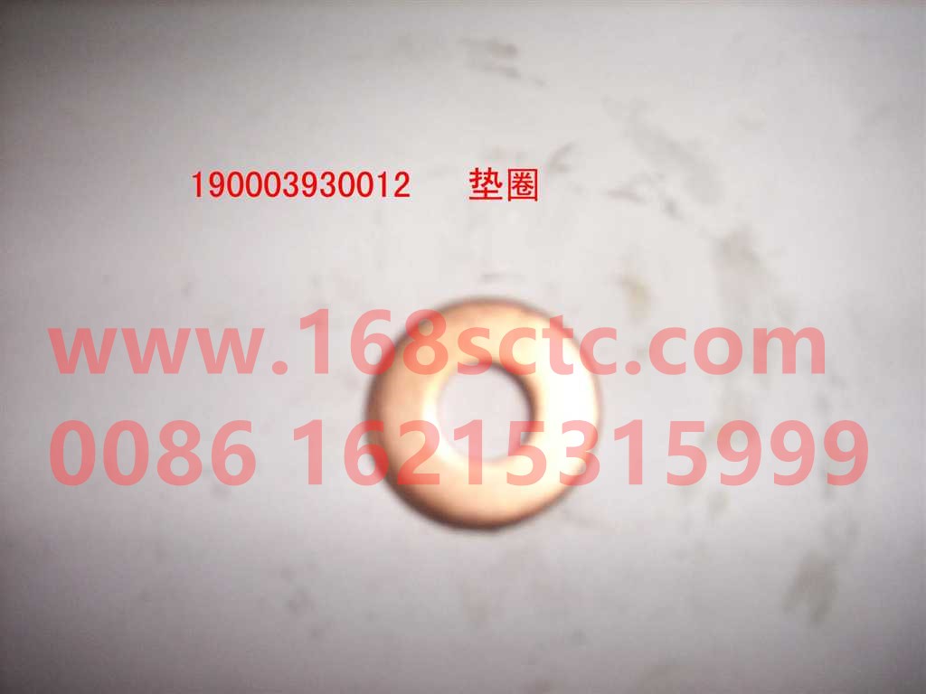 190003930261