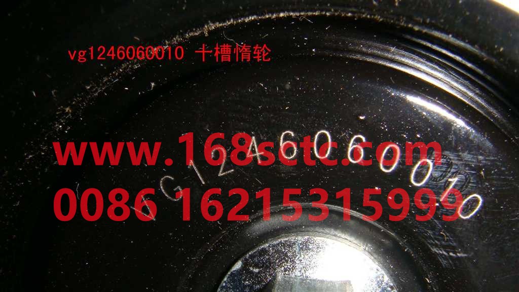 VG1246060010-SINOTRUK HOWO-Idlerten slots-ZhongQiFaDongJiWD615.67