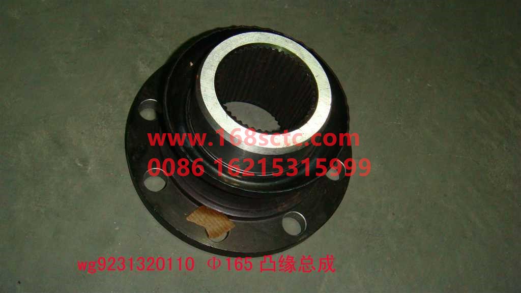 WG9231320110