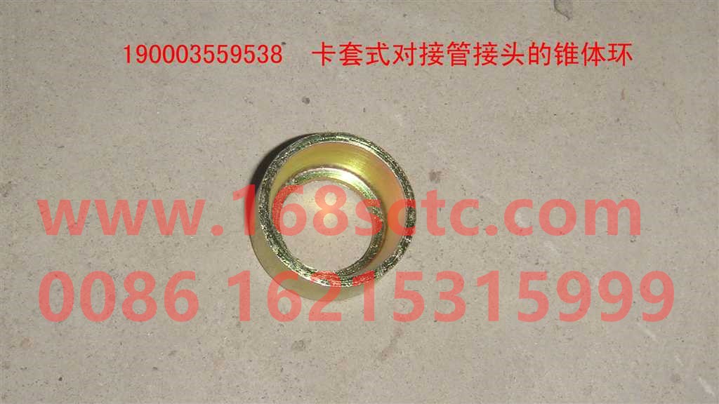 Sealing gasket D12D74297ZN